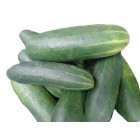 Cucumber/6 pieces